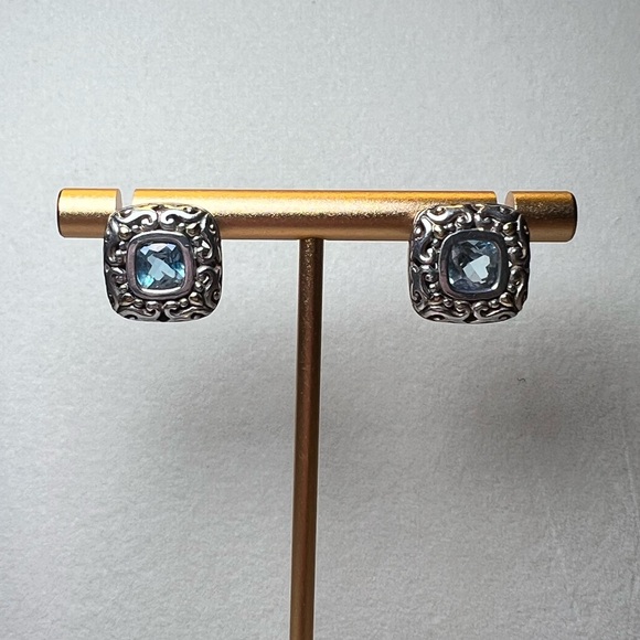 Jewelry - Intricate Silver Earrings with Blue Accents (Believed to be Topaz)